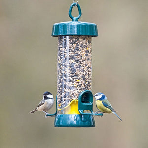 Big Easy Bird Seed Feeders; Woodpecker on Big Easy Bird Feeder; Easy Clean Big Easy Bird Feeder; Standard Big Easy Bird Seed Feeder