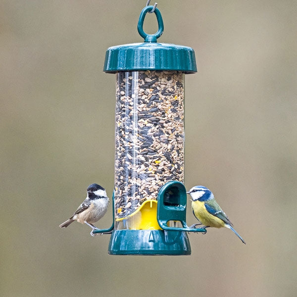 Big Easy Bird Seed Feeders; Woodpecker on Big Easy Bird Feeder; Easy Clean Big Easy Bird Feeder; Standard Big Easy Bird Seed Feeder