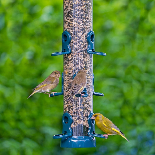 Flo Festival Seed Feeder Range; Flo Festival Seed Feeder with goldfinch; Flo Festival Seed Feeder with greenfinch; Flo Festival Seed Feeder with garden