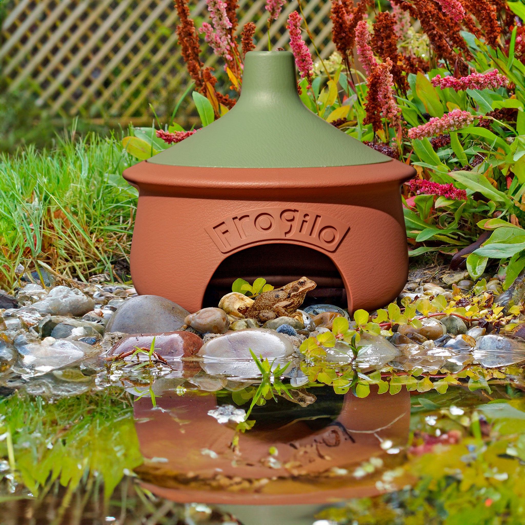 Frogilo house by a pond in a garden with a frog