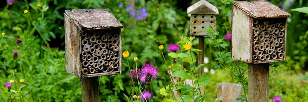 Insect houses in a colourful garden