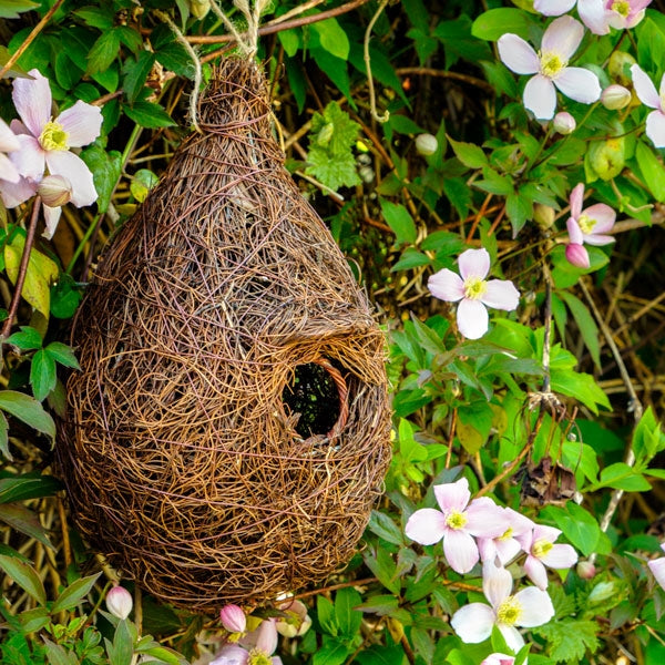 Blue tits, robins and wrens all use roosting pockets;Giant Bird Roost Nesting Pocket