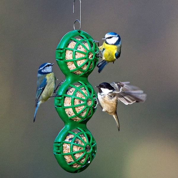 Hanging BasketBall Suet & Fat Ball Feeder; Jacobi Jayne BasketBall Hanging Suet Ball Feeder; BasketBall Suet Ball Bird Feeder; Jacobi Jayne BasketBall Suet Ball Feeder