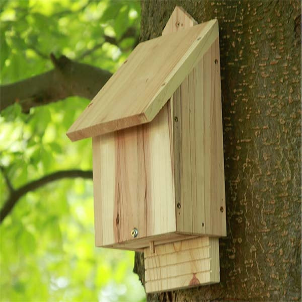 Natural Timber Bat Box; Natural Timber Bat Box fixed to tree; We are the UK`s leading supplier of Bat Boxes