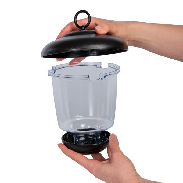 Little Lantern Bird Seed Feeder; Little Lantern Bird Seed Feeder; Little Lantern Bird Seed Feeder; Little Lantern Bird Seed Feeder