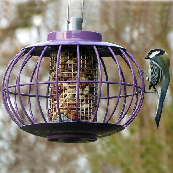 Nuttery Lantern Peanut Feeder; Nuttery Lantern Peanut Feeder