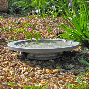 Oasis bird bath on rocky flower bed