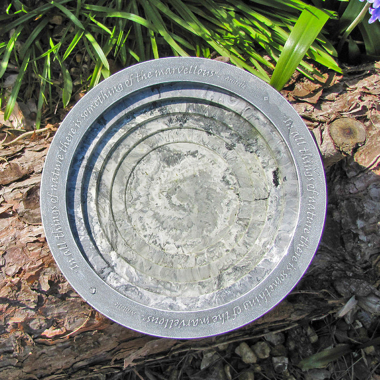 arial view of the Oasis bird bath