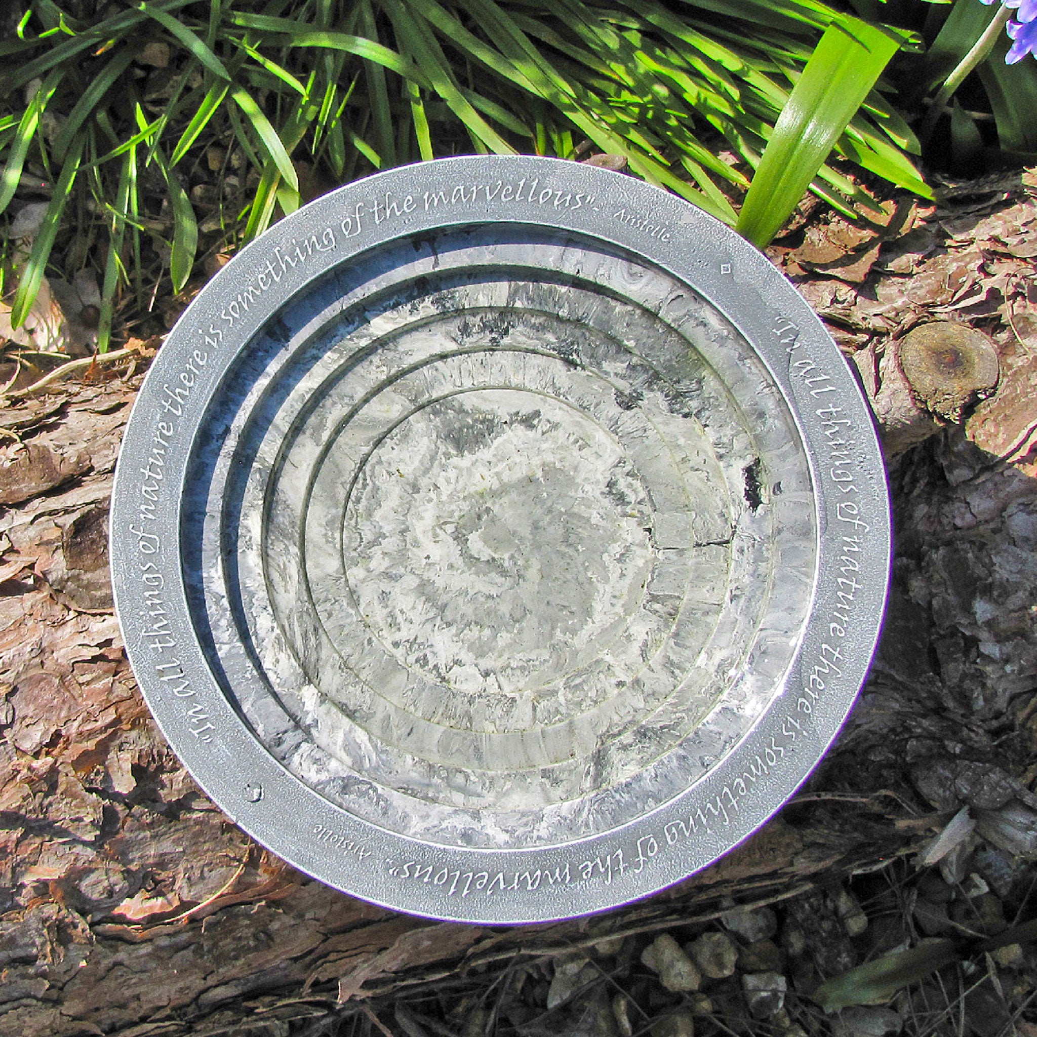 arial view of the Oasis bird bath