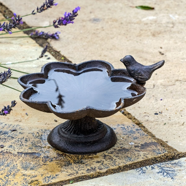 Old Iron Buttercup Water Dish; Old Iron Buttercup Water Dish; Old Iron Buttercup Water Dish