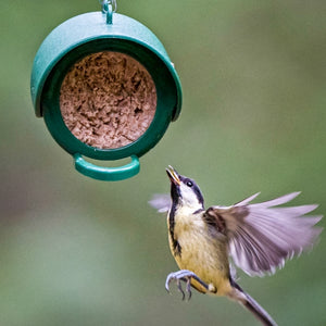 Flutter Butter Buggy; Peanut Butter salt free is ideal for birds; Tits enjoying Flutter Butter Buggy; Flutter Butter Pods in Feeder