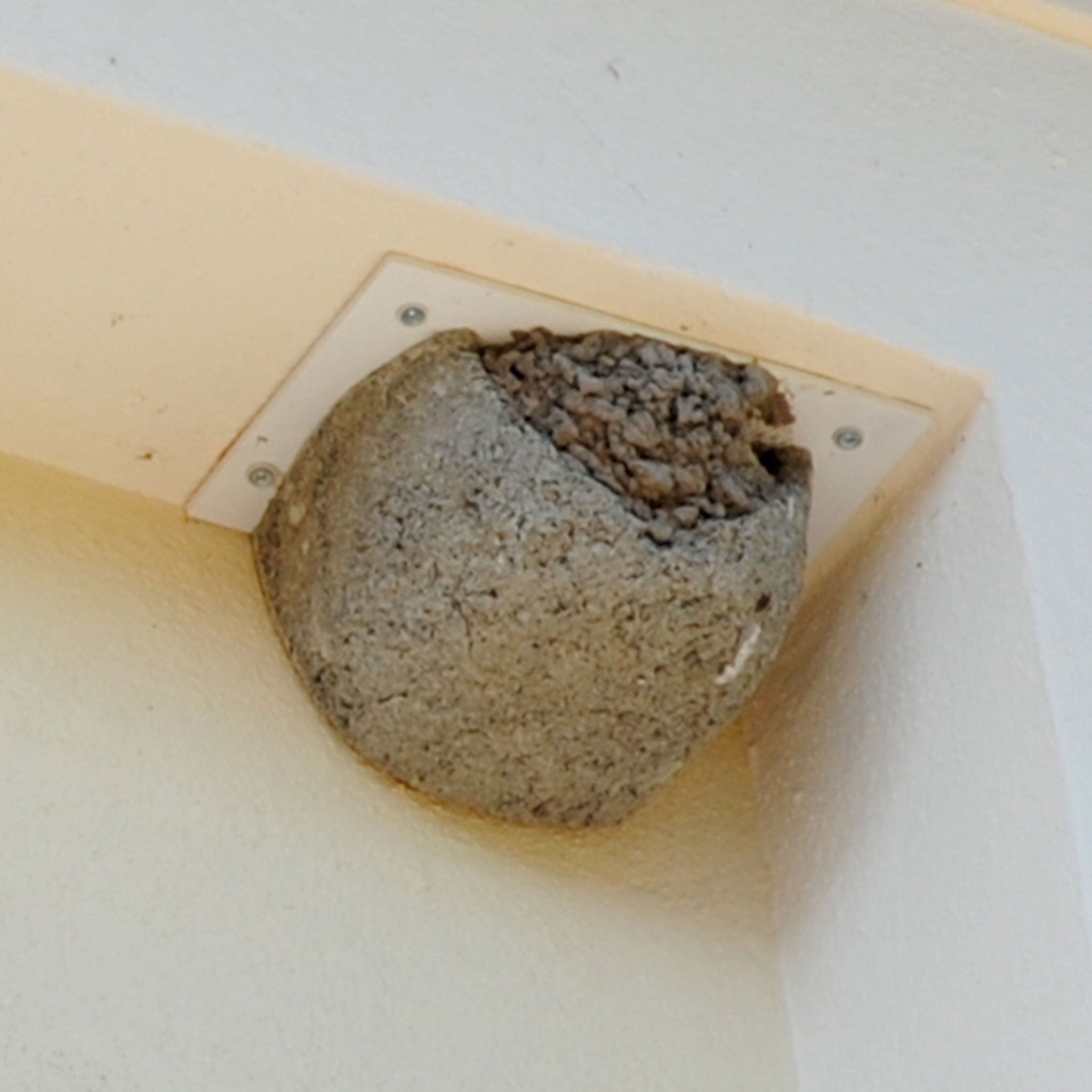 Schwegler 13B fitted to wall