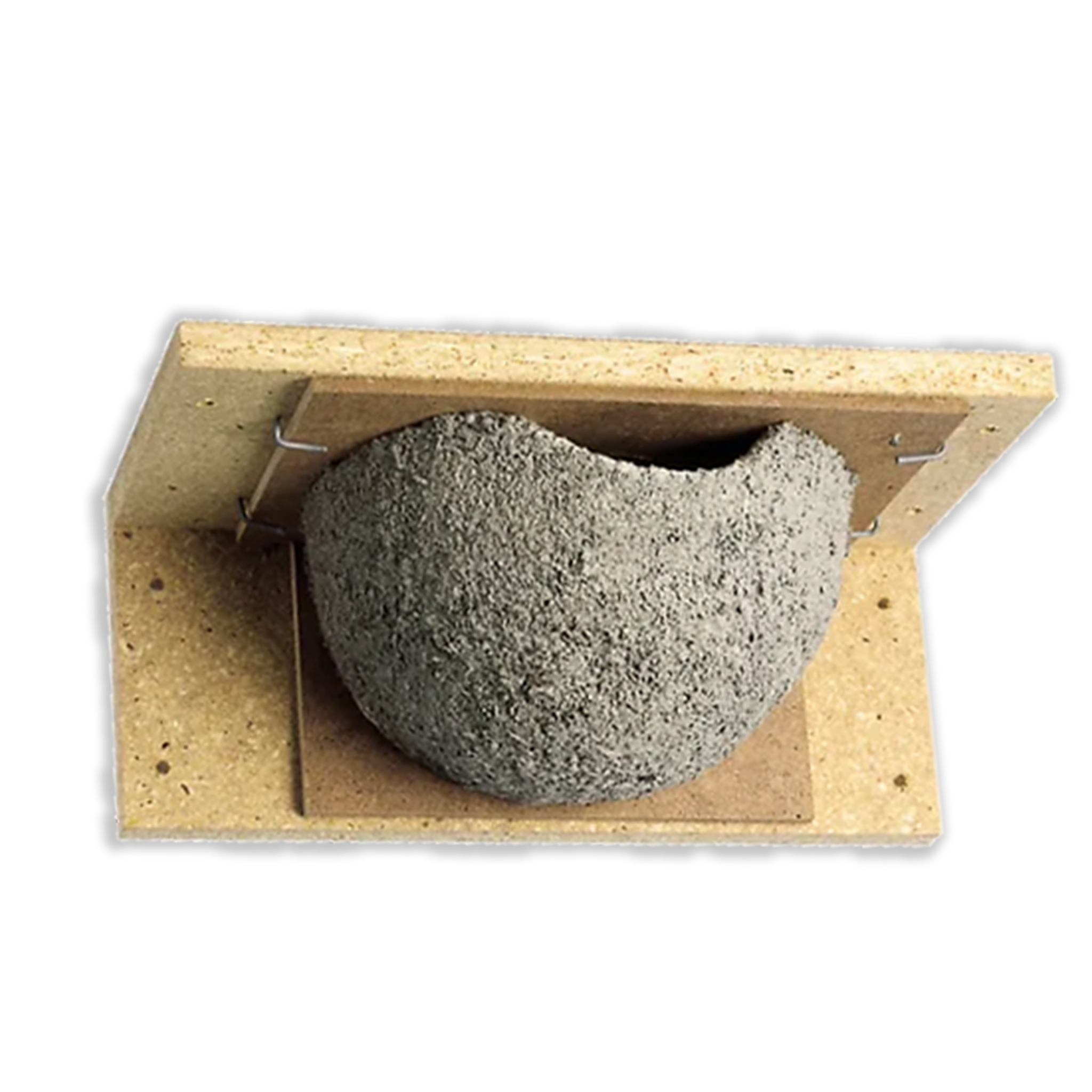 single house martin nestbox