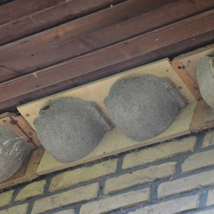 house martin nestbox on building