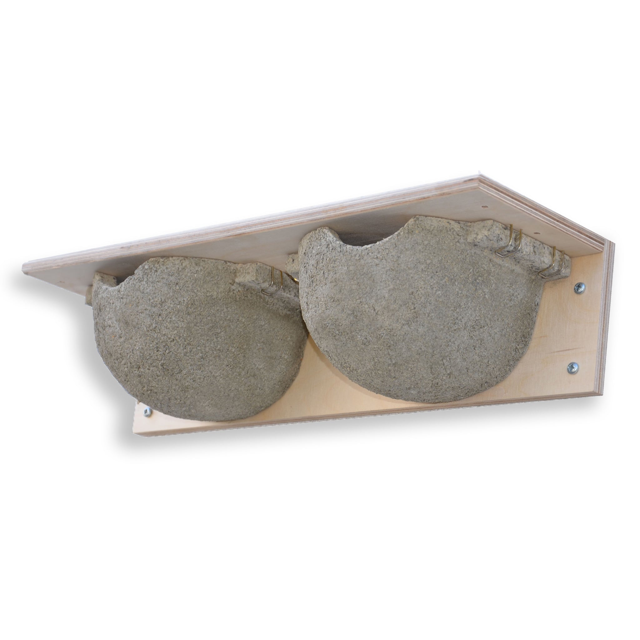 double house martin nestbox