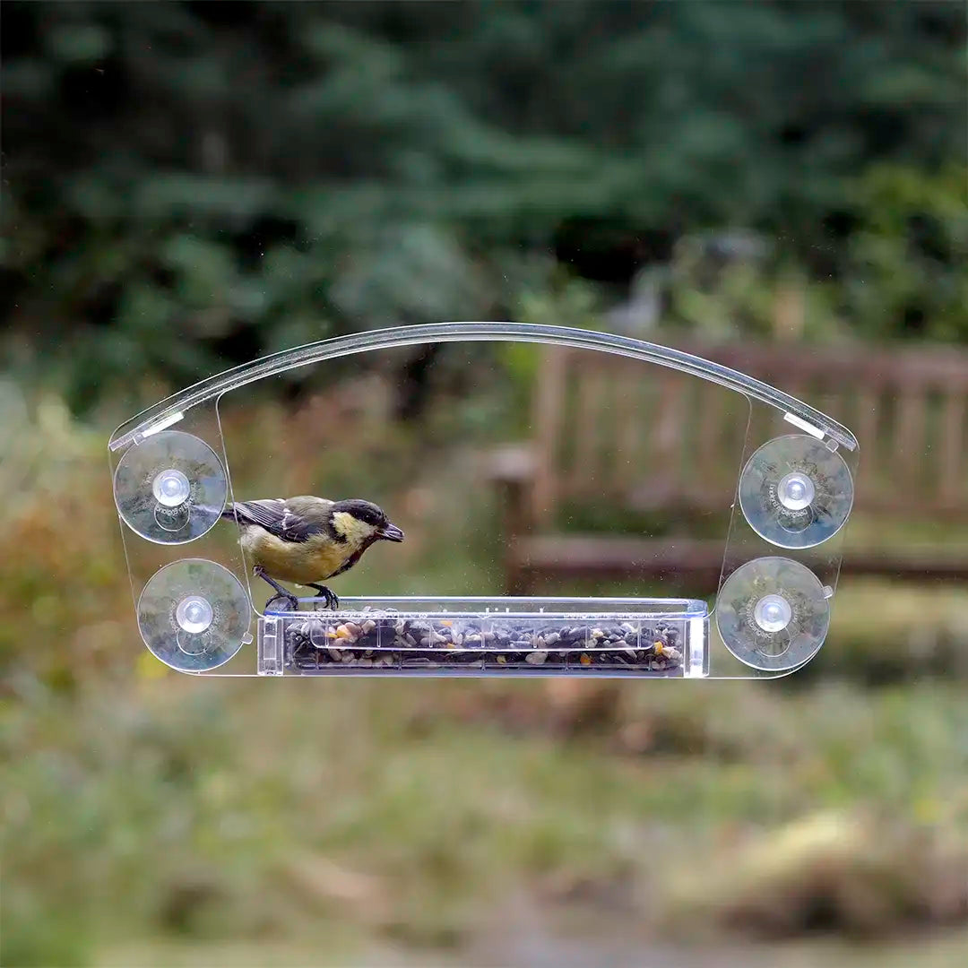 Skydeck window bird feeder with bird seed