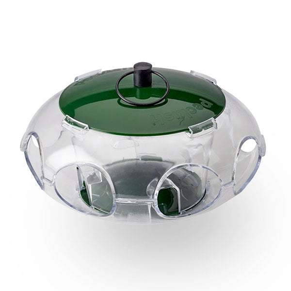 Small Bird Seed Feeder; Small Bird Seed Feeder