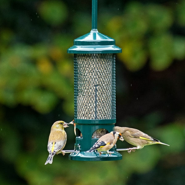 The Squirrel Buster showing hanger; The Squirrel Buster; Squirrel Buster Seed Feeder; 100% Squirrel Proof Seed Feeder