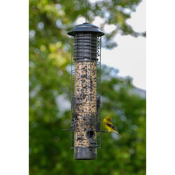 Squirrel resistant caged bird seed feeder;Squirrel resistant caged bird seed feeder;Squirrel resistant caged bird seed feeder