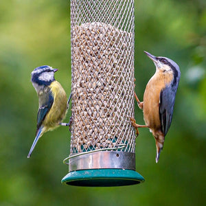 Premium Sunflower Hearts; Premium Sunflower Hearts; Blue Tit sunflower Seeds; Blue tit and nuthatch on sunflower hearts