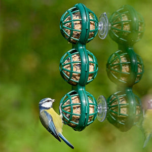 Jacobi Jayne BasketBall Window Feeder; BasketBall Fat & Suet Window Feeder; BasketBall Window Feeder