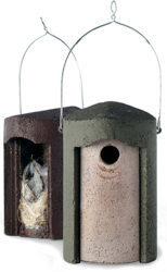 Cleaning Bird Nest Boxes