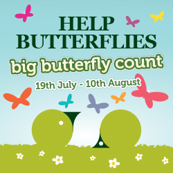 Big Butterfly Count Logo