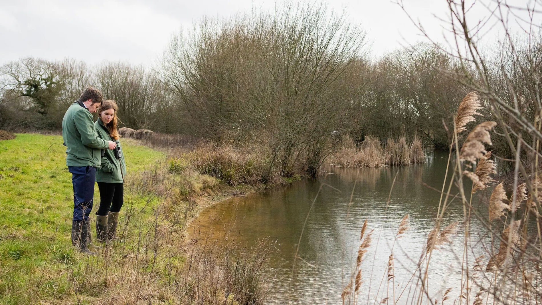 The Local Impact of Biodiversity Net Gain