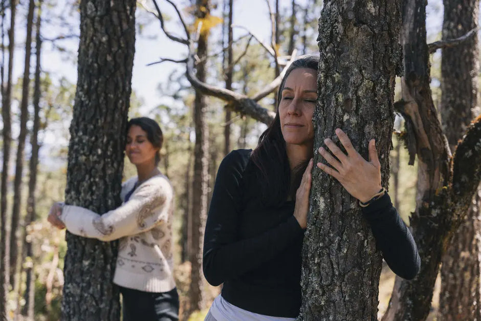 people within a forest embracing the trees