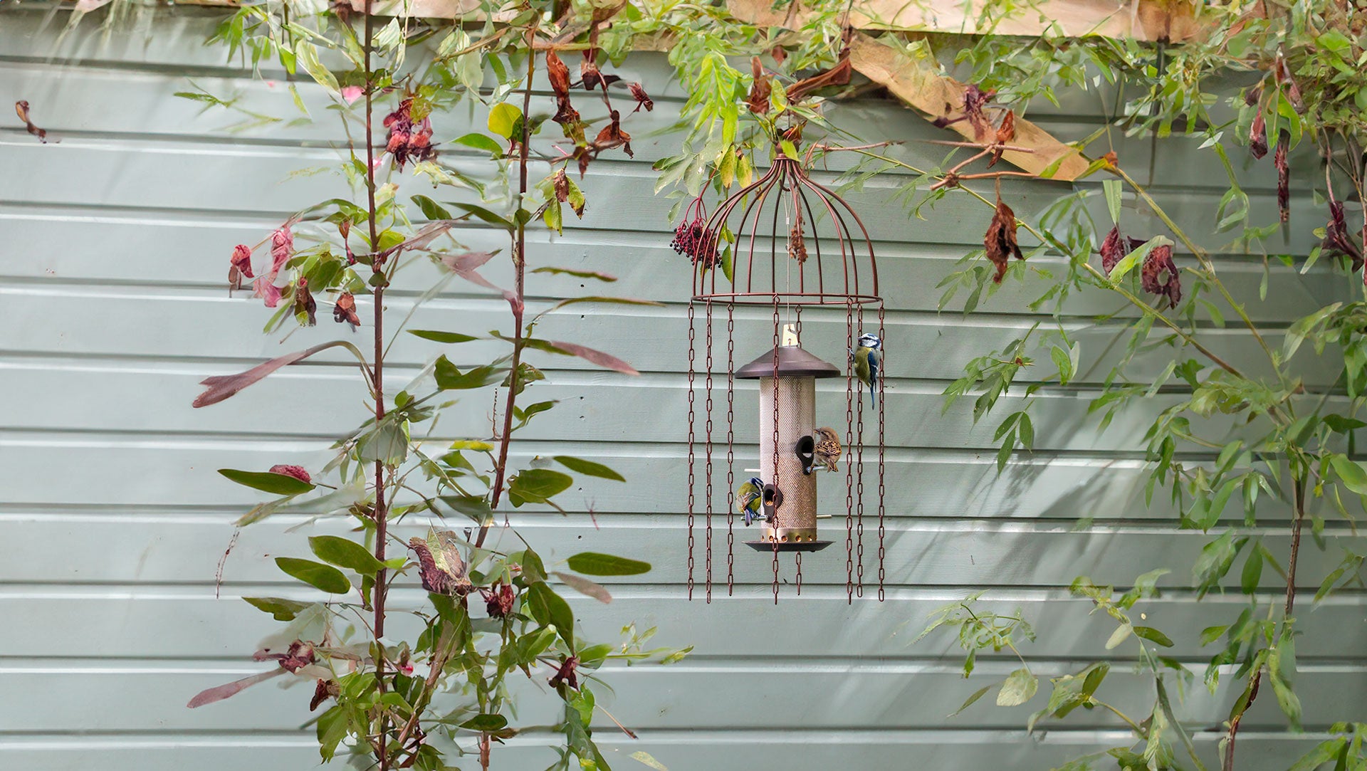 Medusa bird feeder defender