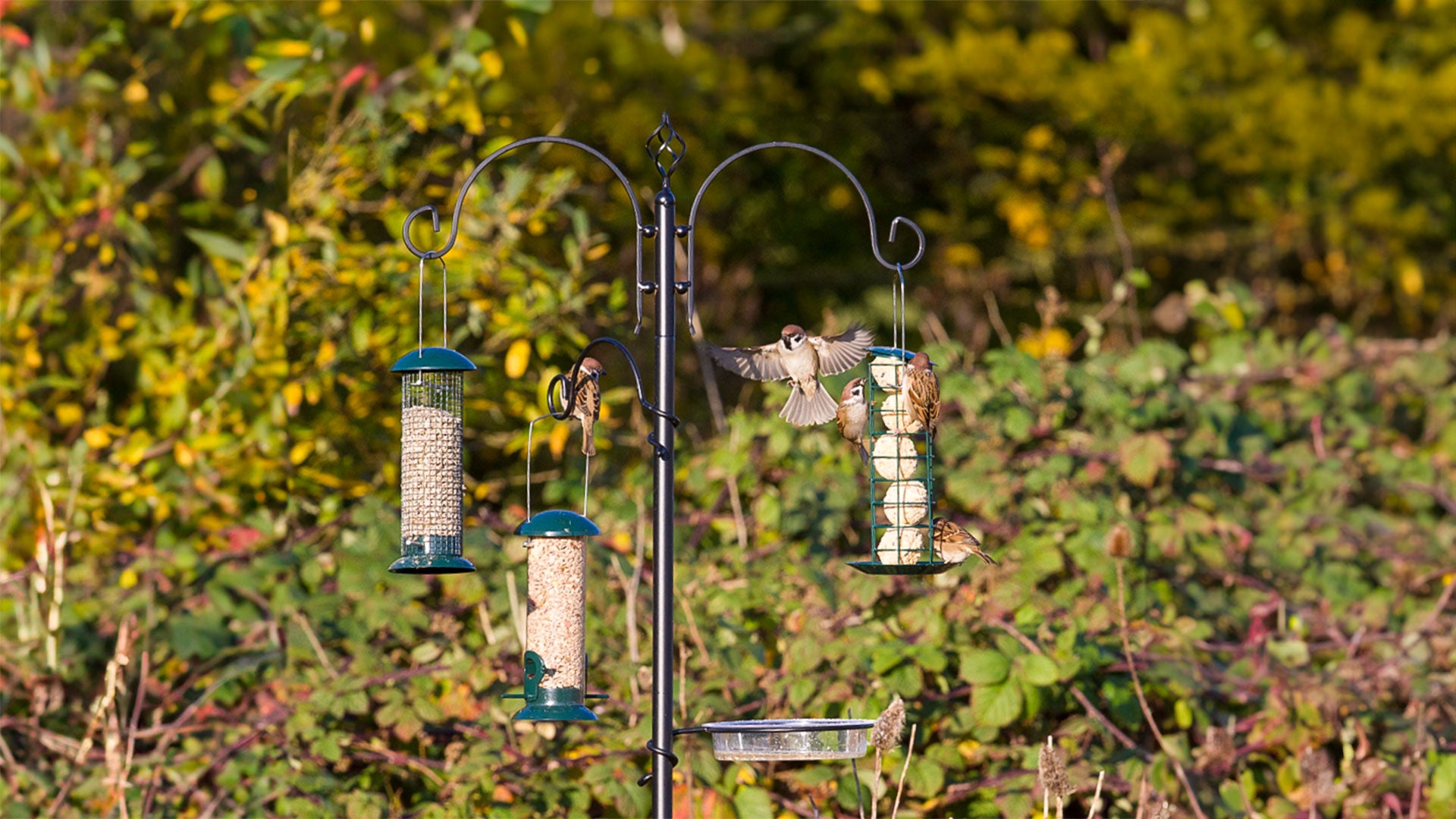 A garden pole system with hanging feeders