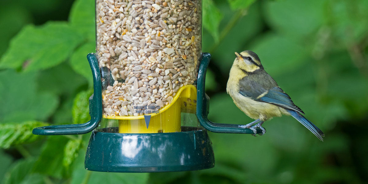 Easy clean bird feeders UK
