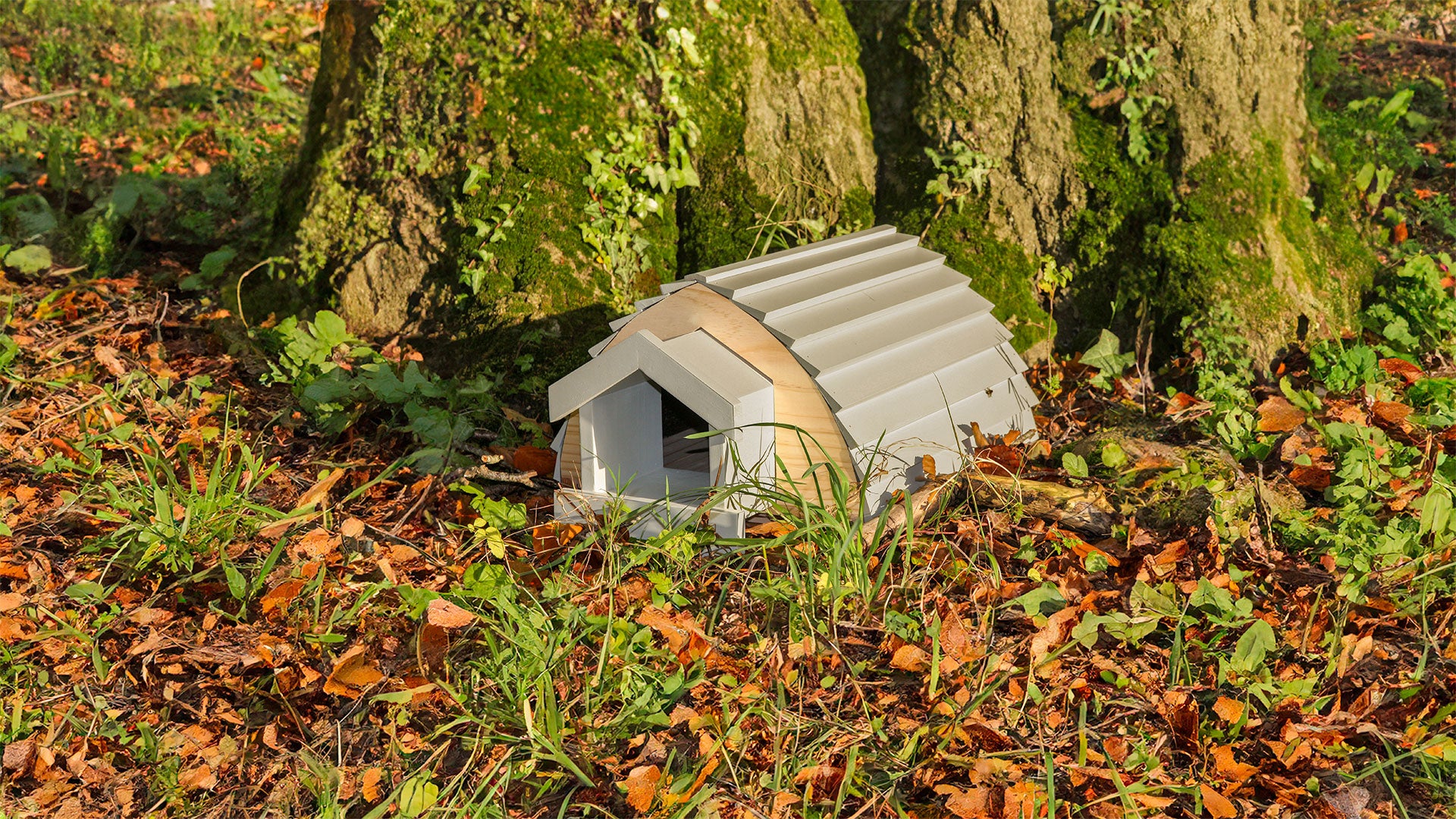 Dutch barn hedgehog house in autumn leaves