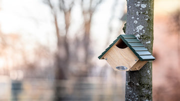 Best Robin Nest Boxes | Bird Boxes For Robins | Ark Wildlife UK