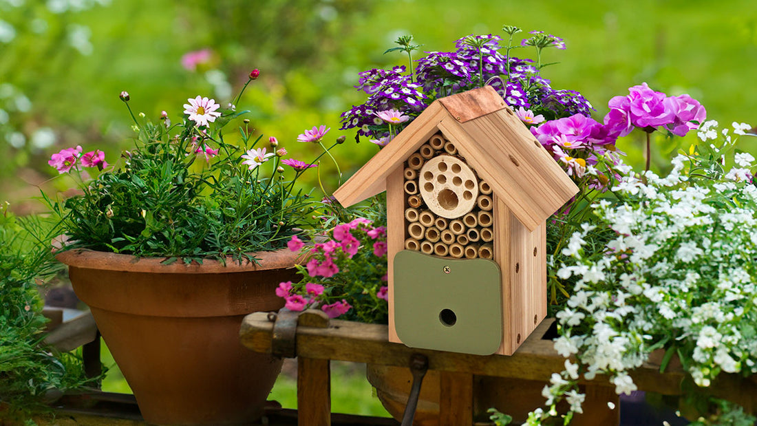 Bee Houses for Gardens & Solitary Bee Boxes | Ark Wildlife UK