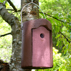 Schwegler 1B 26mm Hole Nestbox Brown