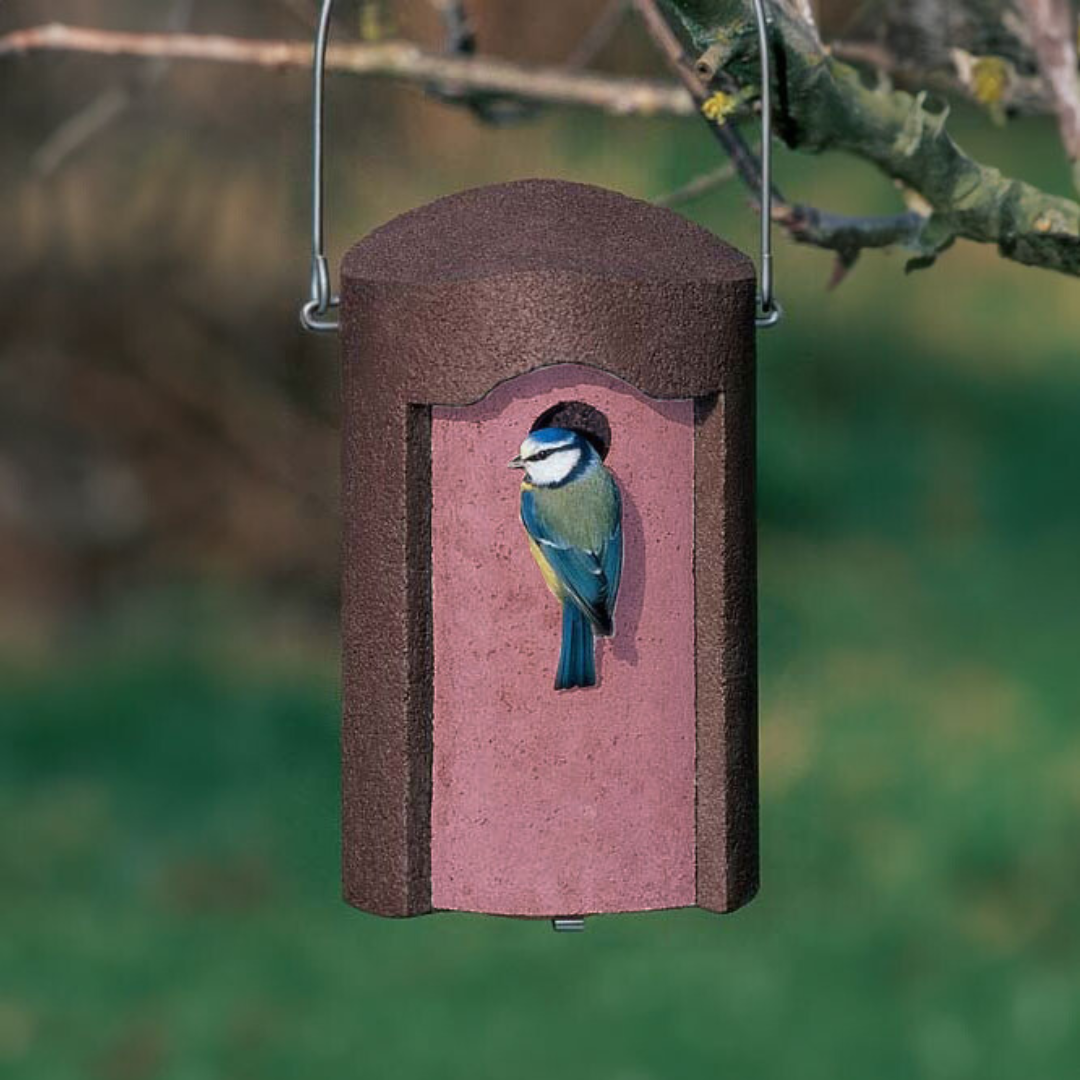 Schwegler 1B 32mm Hole Nestbox Brown