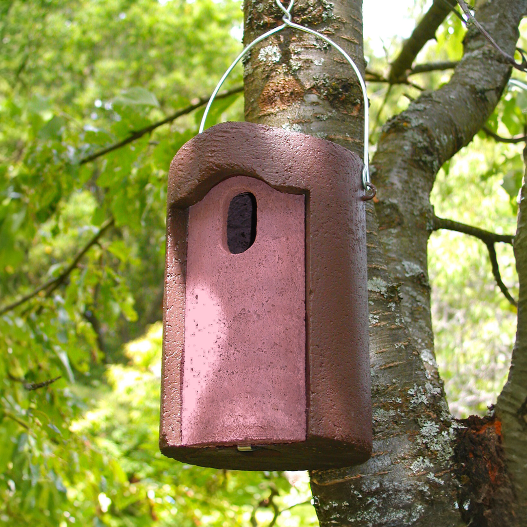 Schwegler 1B Oval Hole Nest Box