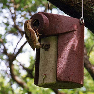 Schwegler 3SV Nestbox - 45mm