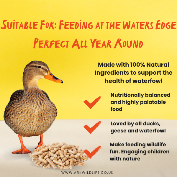 Why Buy Duck and Goose Food