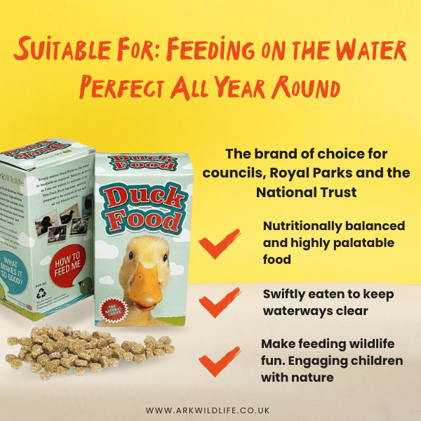 why buy duck food