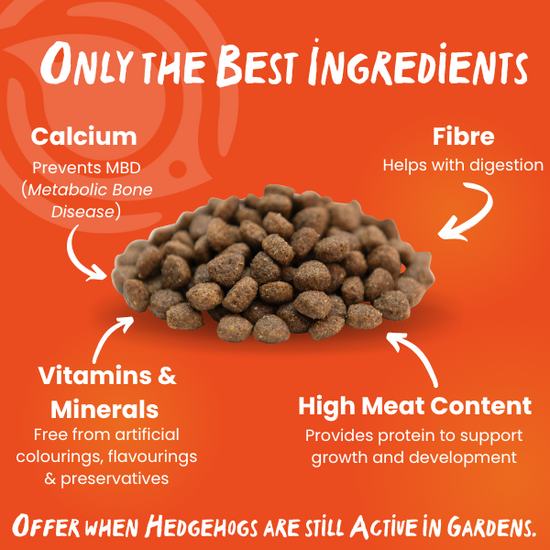 Ark Wildlife Hedgehog Food Original