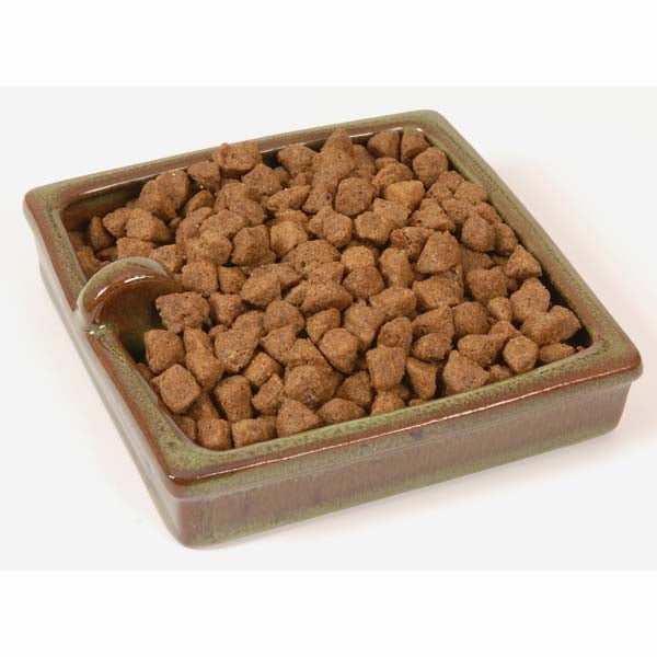 Hedgehog food bowl
