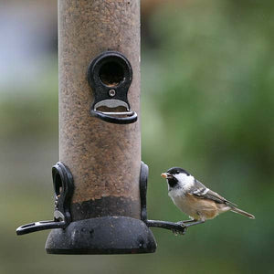 Ark Hearty Mealworm Mix; A chaffinch enjoying Ark Hearty Mealworm Mix from an Onxy Seed Feeder; Ark Hearty Mealworm Mix being enjoyed by a Coal Tit, from an Onxy Seed Feeder