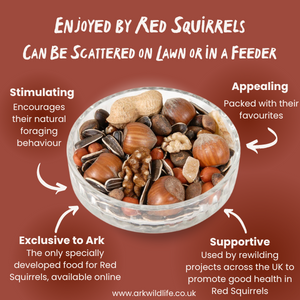 why buy red squirrel food