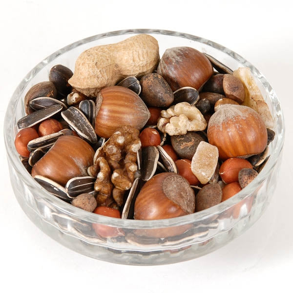 Red Squirrel Food; Ark Red Squirrel Food; Ark Red Squirrel Food; Ark Red Squirrel Food
