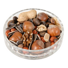 Ark Red Squirrel Food