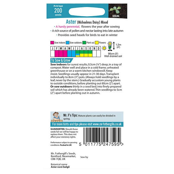 Aster (Michaelmas Daisy) Mixed;Aster (Michaelmas Daisy) Mixed
