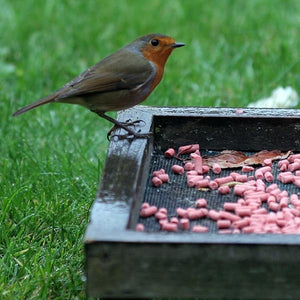 Ark Berry Suet Pellets; Ark Berry Suet Pellets Dunnock eating pellets mixed with Ark No Mess Feeder Mix; Ark Berry Suet Pellets Robin eating Berry Pellets from a compact feeding tray; Ark Berry Suet Pellets Robin enjoying berry pellets from a ground feeding tray