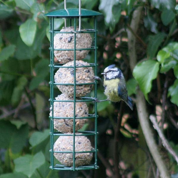 Premium 90g Fat Balls for Birds; Blue tits feeding on fat balls; Blue tits feeding on fat balls